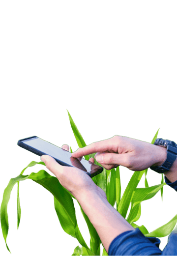 Crop Doctor