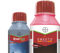 Grow more, Grow smart