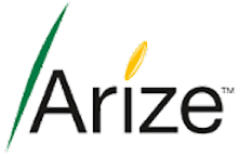 High yielding rice hybrid seeds