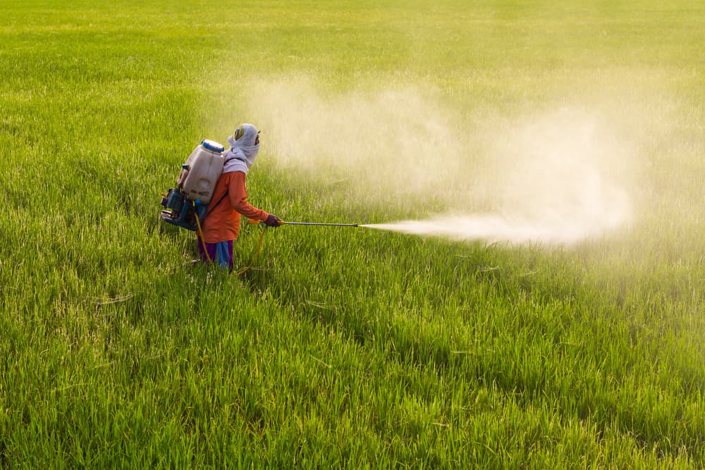 Herbicides banner