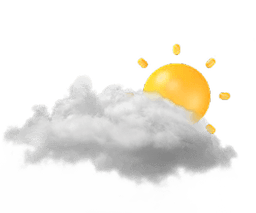 Get daily weather forecast and essential insights