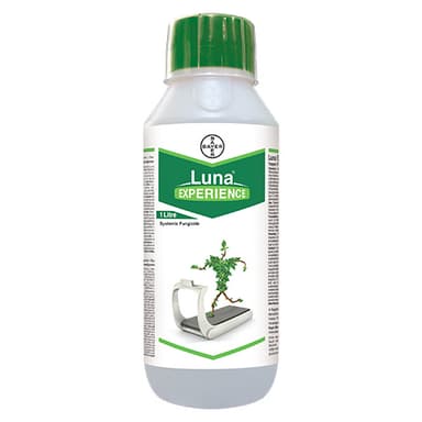 లూనా® ఎక్స్పీరియన్స్