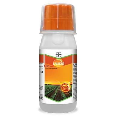 లాడిస్®