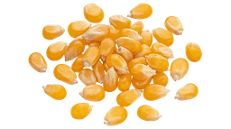 మొక్కజొన్న